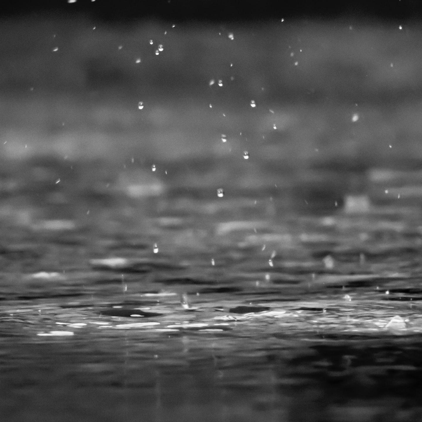 grayscale photography of raindrops