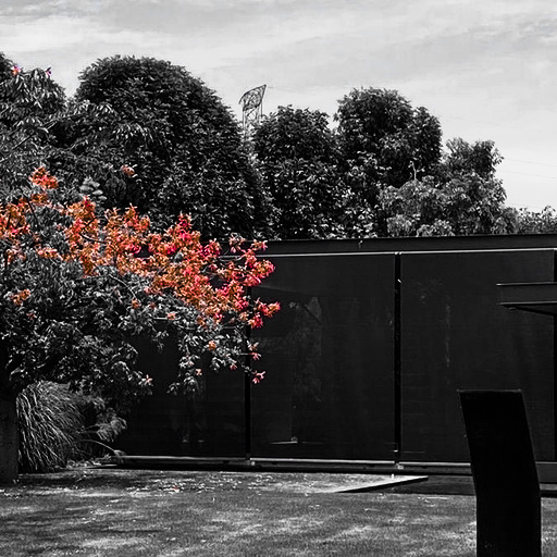 [PRK] IguanaLife PRACTIKA